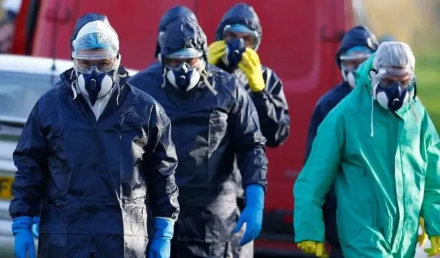Avustralya'da kuş gribi alarmı: Doğrulanan vaka sayısı 74’e yükseldi!