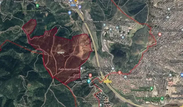 Arsa mağduru Aydan Uğurtan: Babamın ömrü bununla tükendi, şimdi benimki tükeniyor!