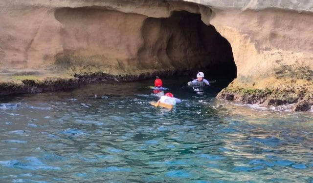 Fotokapanlara yansıdı: Akdeniz foklarının yaşam alanlarına insan baskısı