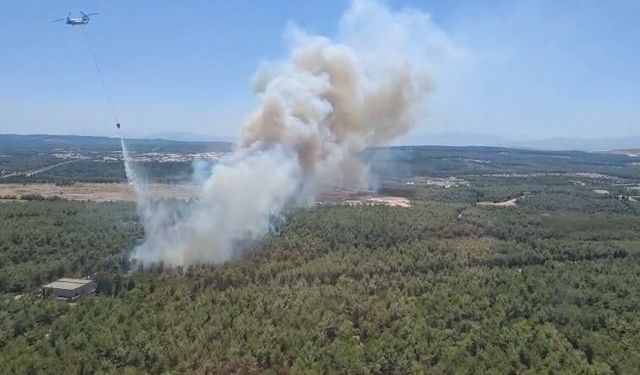 Buca’da orman yangını: Havadan ve karadan müdahale devam ediyor
