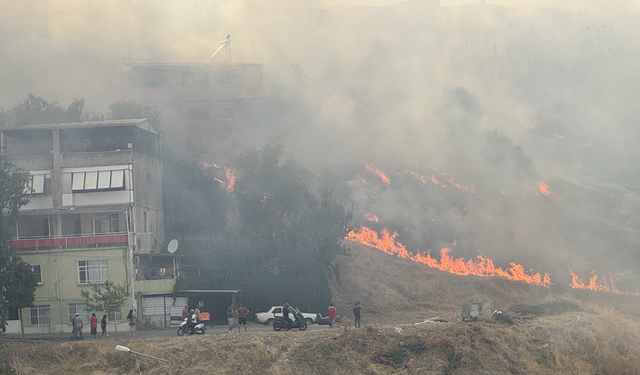 İzmir'de otluk alanda yangın: Müdahale ediliyor