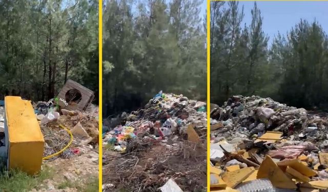 Menderes’in kırsalında korkunç manzara… Orman çöplüğe döndü