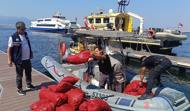 İzmir'de yasa dışı midye avcılığına sıkı denetim