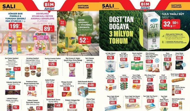 BİM'de bu salı hangi ürünler indirimde? BİM aktüel ürünler kataloğu 25 Ağustos Salı 2026