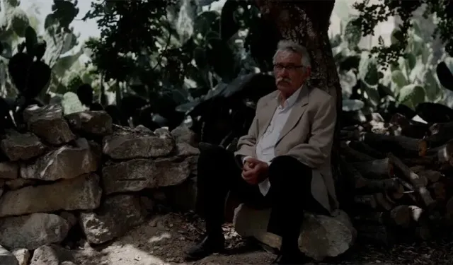 Oscar’da ülkemizi temsil edecek: 'Kesilmiş Bir Ağaç Gibi’