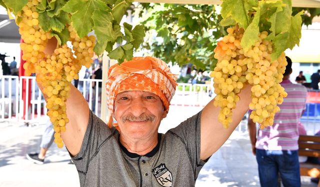 Urla’da 2600 yıllık gelenek: Bağbozumu Şenlikleri başlıyor