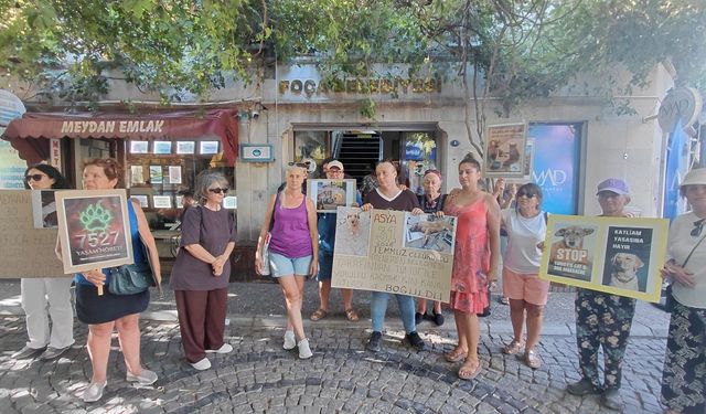 Foça'da yaşam nöbeti: Hayvanseverlerden gece toplamalarına tepki