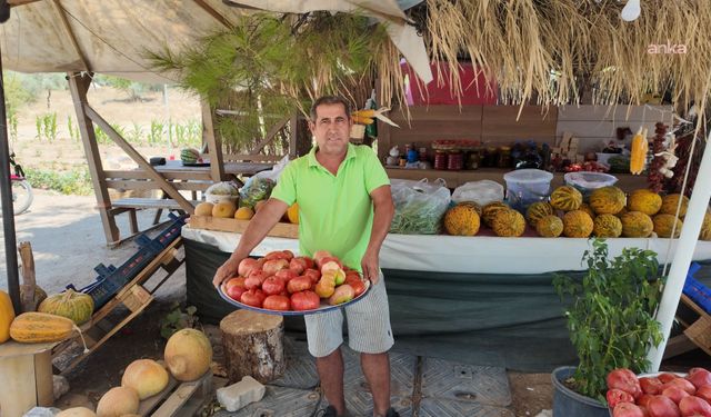 Akbelenli köylülerin ürünleri imece usulüyle tüketiciyle buluşuyor