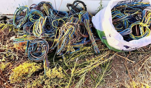 7 ayrı dosyaları çıktı… Aliağa’da kablo farelerine suç üstü
