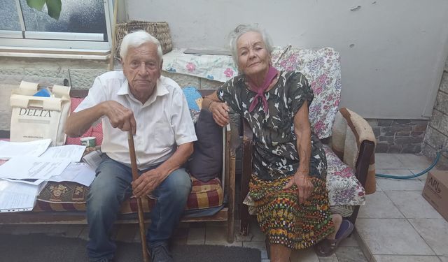 Kedileri için evlerini bırakmıyorlar: Bizi burada ölüme terk etmiş gibiler!