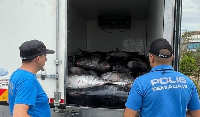 İzmir’de kaçak avlanan 3 ton orkinosa el konuldu