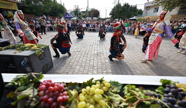Seçuk'ta Osmancık üzümü coşkusu