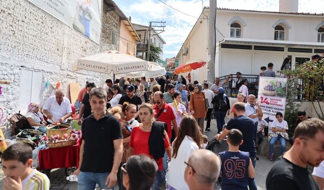 Kavacık’ta üzüm bereketi: Festivalde dolu dolu 2 gün!