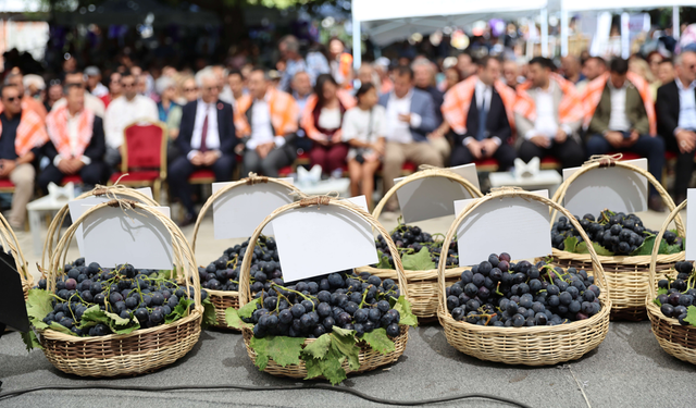 Kavacık Üzüm Festivali'nde üreticinin emeği vitrine çıktı