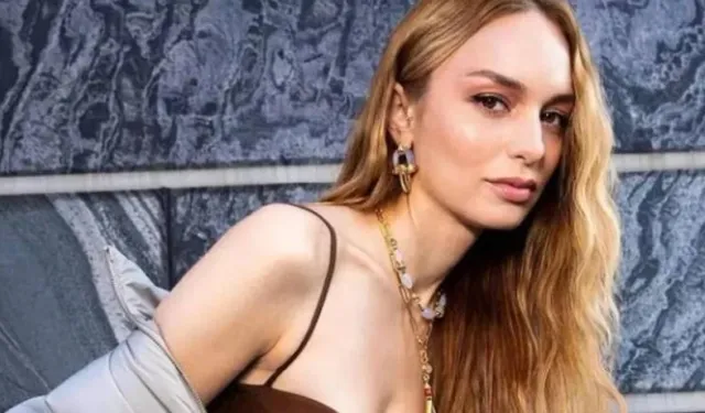 Nilperi Şahinkaya kimdir? Nilperi Şahinkaya'ya neden gözaltı kararı verildi?