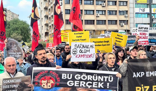 İzmir'de hayvan hakları savunucularından Ege Üniversitesi kampüsündeki köpeklerin toplatılmasına tepki