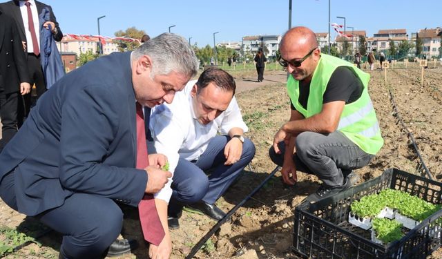 Bornova’nın kent bostanı modeli Yalova’ya örnek oldu