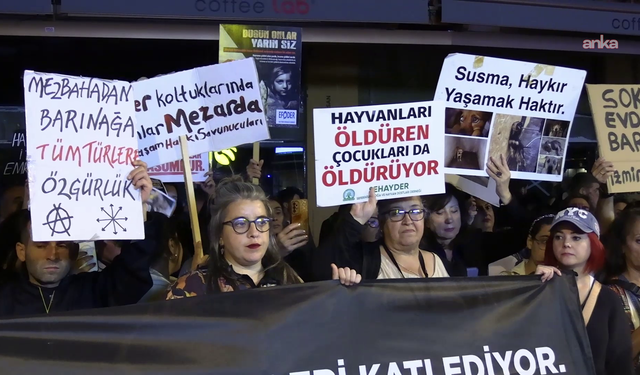 İzmir’de yaşam hakkı savunuculardan çağrı: Toplayan değil koruyan bir yasa istiyoruz