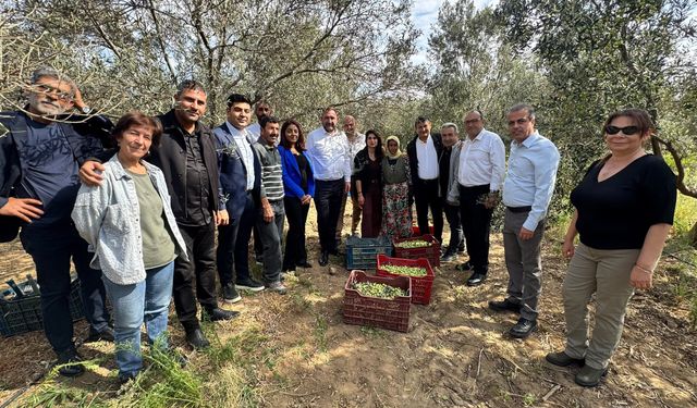 Utku Gümrükçü zeytin üreticileriyle buluştu: Pek çok ürün dalda kalabilir!