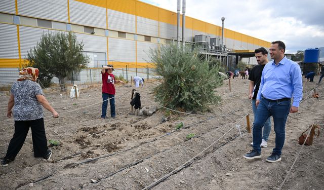 Bornova’da kent bostanları 9’a çıktı: 1160 kadın üretime katıldı