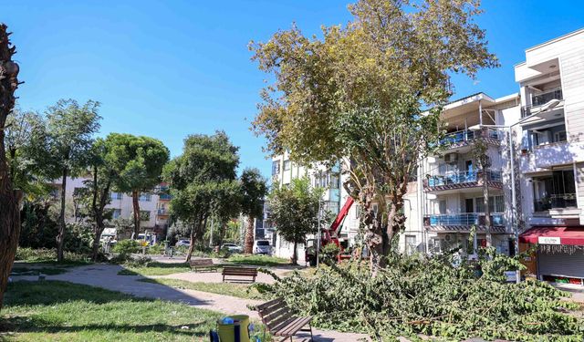 Buca’nın yeşil alanlarına sonbahar bakımı