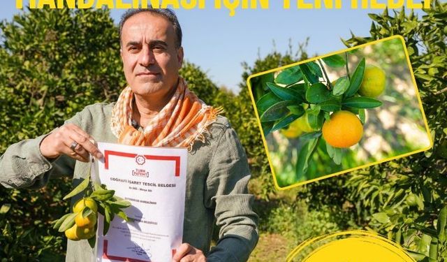 Seferihisar’ın Satsuma mandalinası için yeni hedef: Dünya pazarına açılacak!