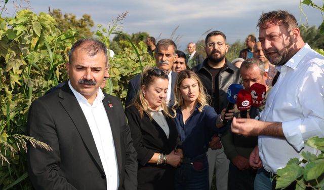 CHP’li Gümrükçü'den Menemen çıkarması: Tatlı üzümde acı fiyat olmaz