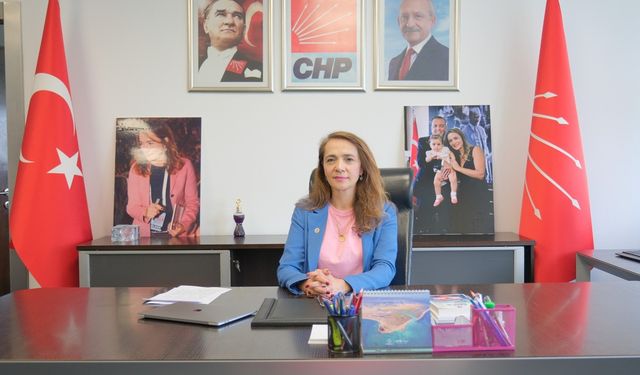 CHP’li İlgezdi ilaç krizine dikkat çekti: Sosyal medyada arıyorlar