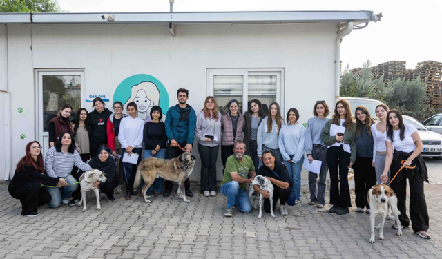 Eşki duyurdu: Ege Üniversitesi’nden devralınan 83 köpek sahiplendirildi