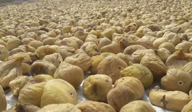 İzmir'de incirde kimyasal skandalı: 3 ton ürüne el konuldu