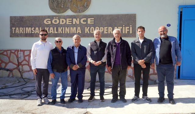 Seferihisar’da üreticiye destek: Sakız ağacı için ortak çalışma