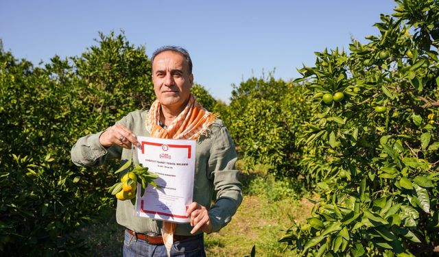Seferihisar’ın Satsuma mandalinası için yeni hedef: Dünya pazarına açılacak!