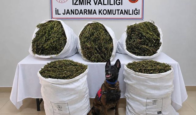 Tire'de 54 kilo 800 gram uyuşturucu madde ele geçirildi