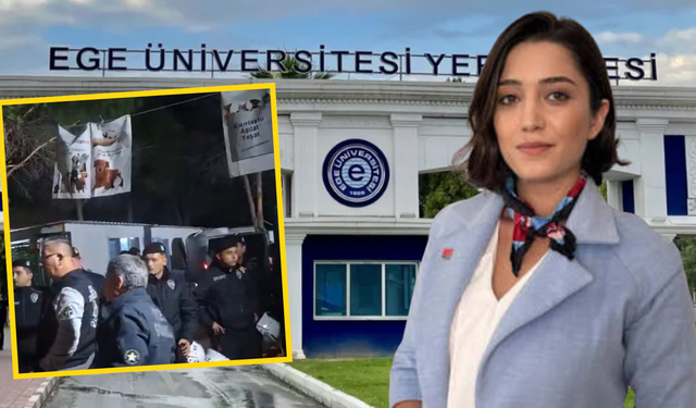 CHP’li Şahin’den Ege Üniversitesi’ndeki köpeklerin toplanmasına tepki: Şeffaf biçimde açıklama yapın