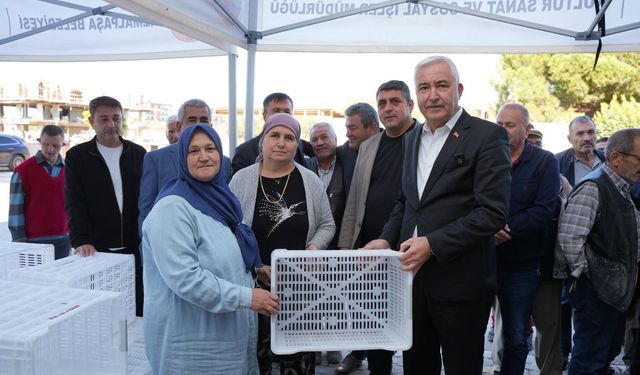Kemalpaşa’da zeytin hasadı öncesi üreticilere destek: Çiftçiye 4 bin adet zeytin kasası dağıtıldı