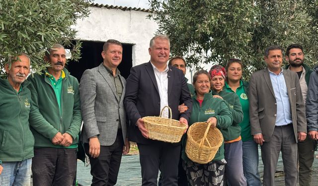 Urla zeytininin bereketi festivalde buluşuyor!