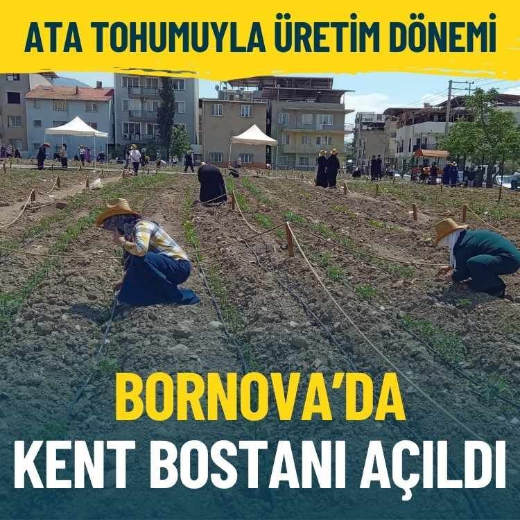 Bornova’da Kent Bostanı açıldı: Ata tohumuyla üretim dönemi