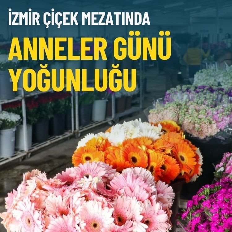 İzmir çiçek mezatında Anneler Günü yoğunluğu!