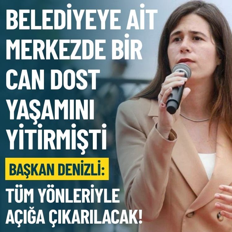 Belediyeye ait merkezde bir can dost yaşamını yitirmişti. Başkan Denizli’den açıklama