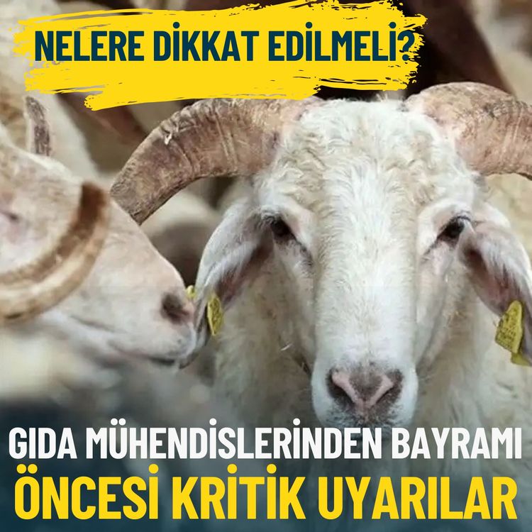 Gıda mühendislerinden Kurban Bayramı öncesi kritik uyarılar: Nelere dikkat edilmeli?