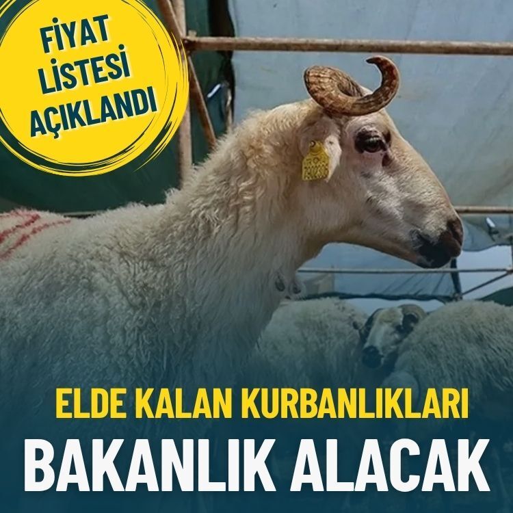 Elde kalan kurbanlıklar ne olacak?