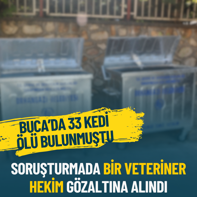 İzmir'de 33 kedinin ölümüne ilişkin bir veteriner hekim gözaltına alındı