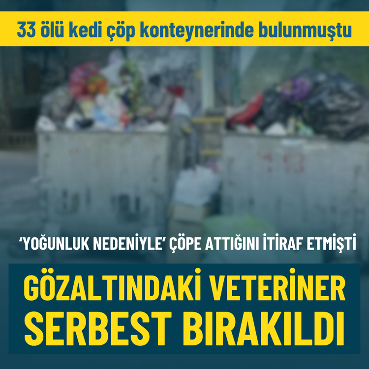 İzmir'de kedi ölümleriyle ilgili gözaltına alınan veteriner serbest bırakıldı