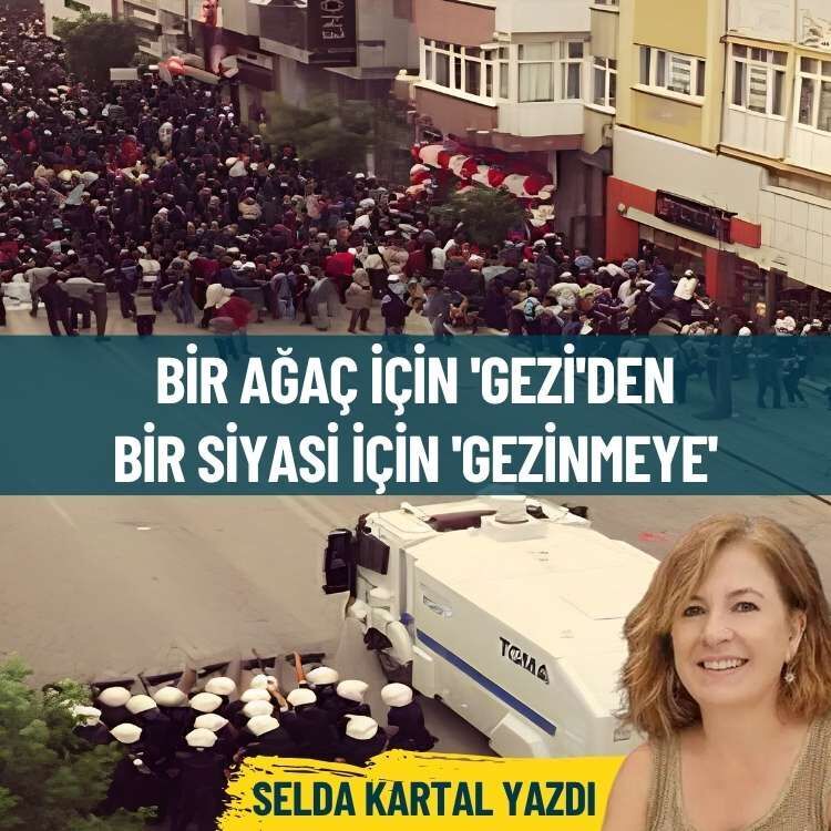 Bir ağaç için 'Gezi'den bir siyasi için 'gezinmeye'