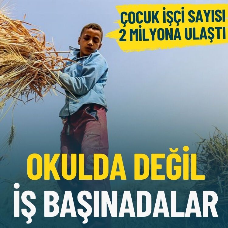 Okulda değil, iş başındalar: Çocuk işçi sayısı 2 milyonu aştı
