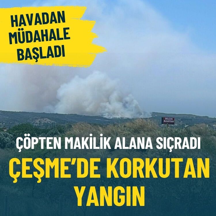 Çöpten makilik alana sıçradı... Çeşme'de korkutan yangın