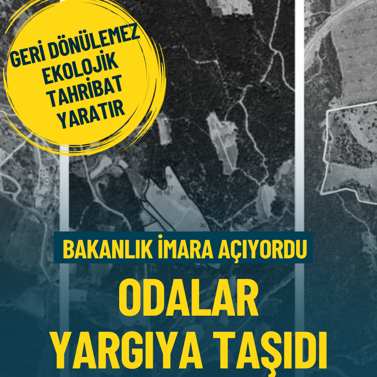 Bakanlık imara açıyordu… Odalar yargıya taşıdı