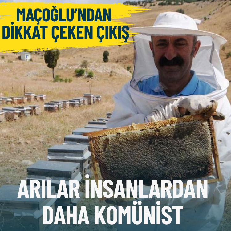 Fatih Maçoğlu’ndan dikkat çeken çıkış: Arılar insanlardan daha komünist