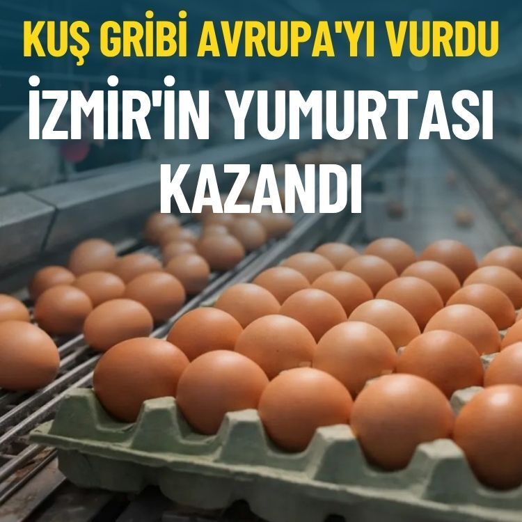 Kuş gribi Avrupa'yı vurdu, İzmir'in yumurtası kazandı