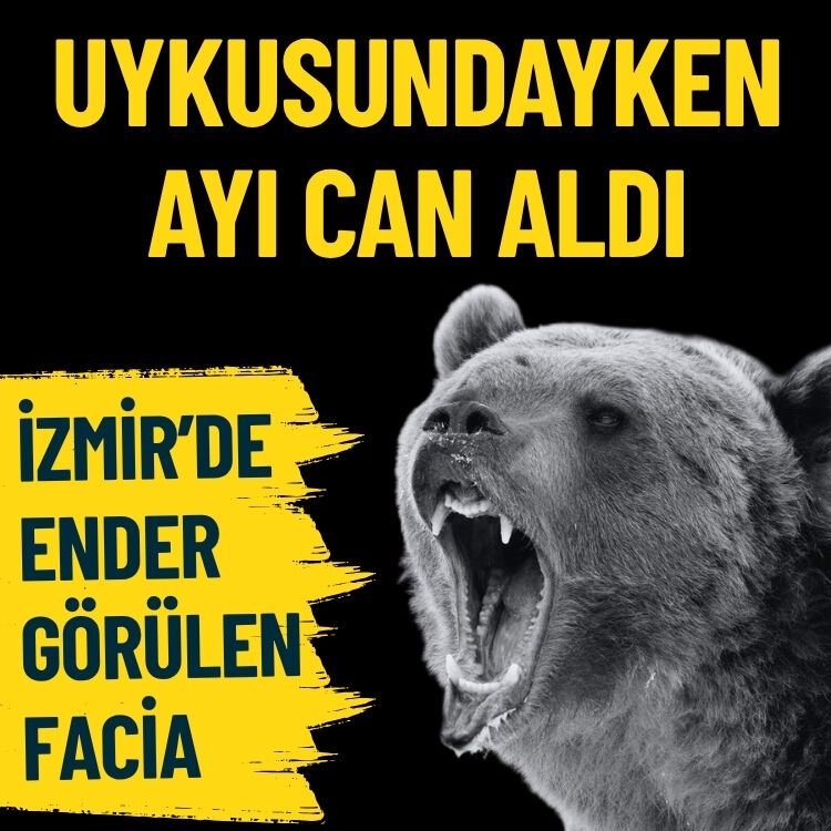 İzmir’de ender görülen facia… Uykusundayken ayı can aldı